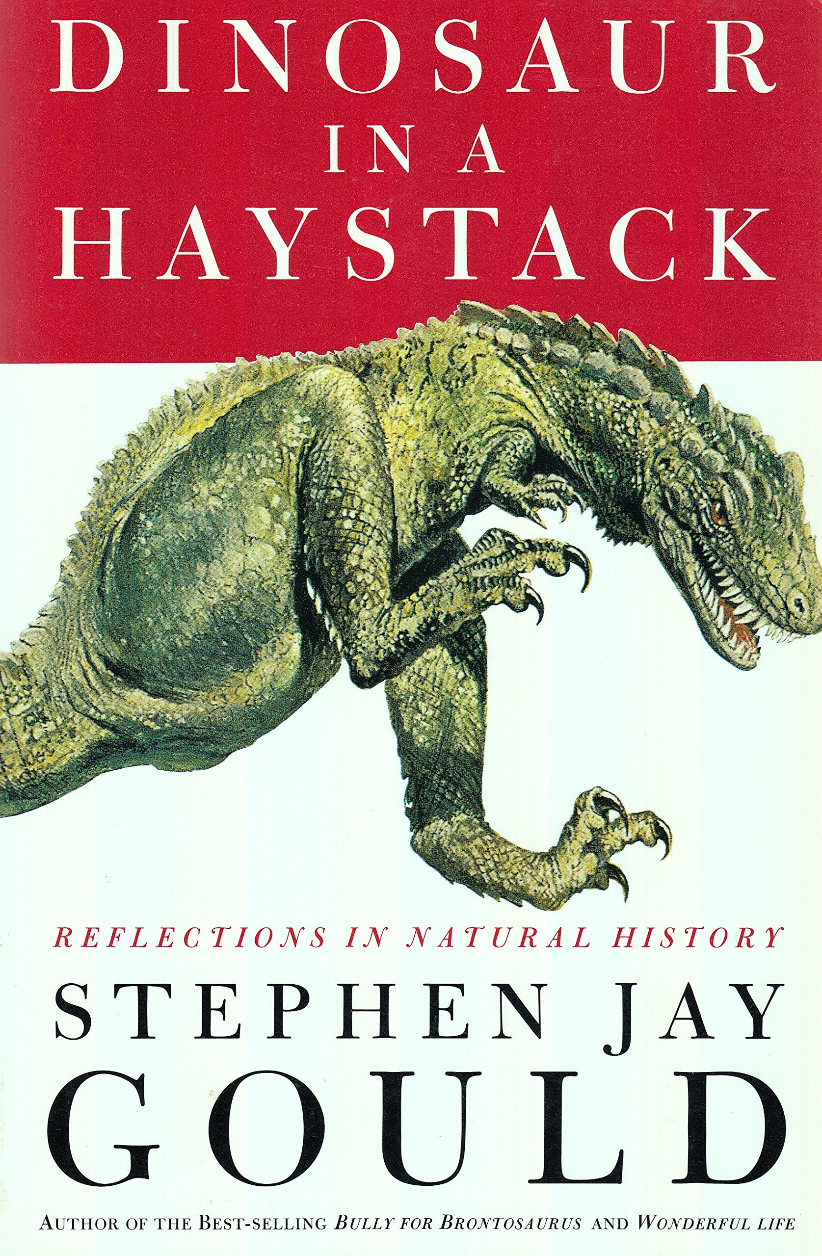 Dinosaur in a Haystack